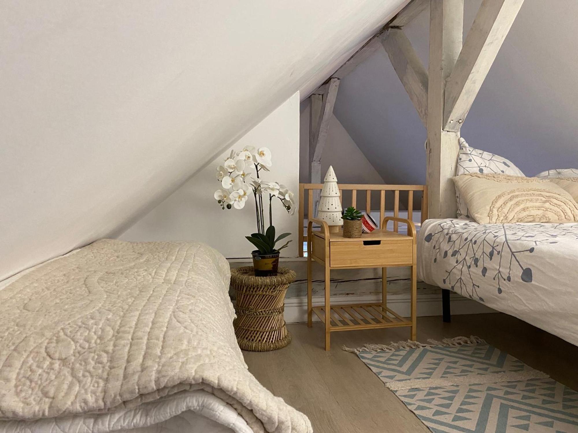 Duplex Spacieux Tout Confort 뮐루즈 외부 사진