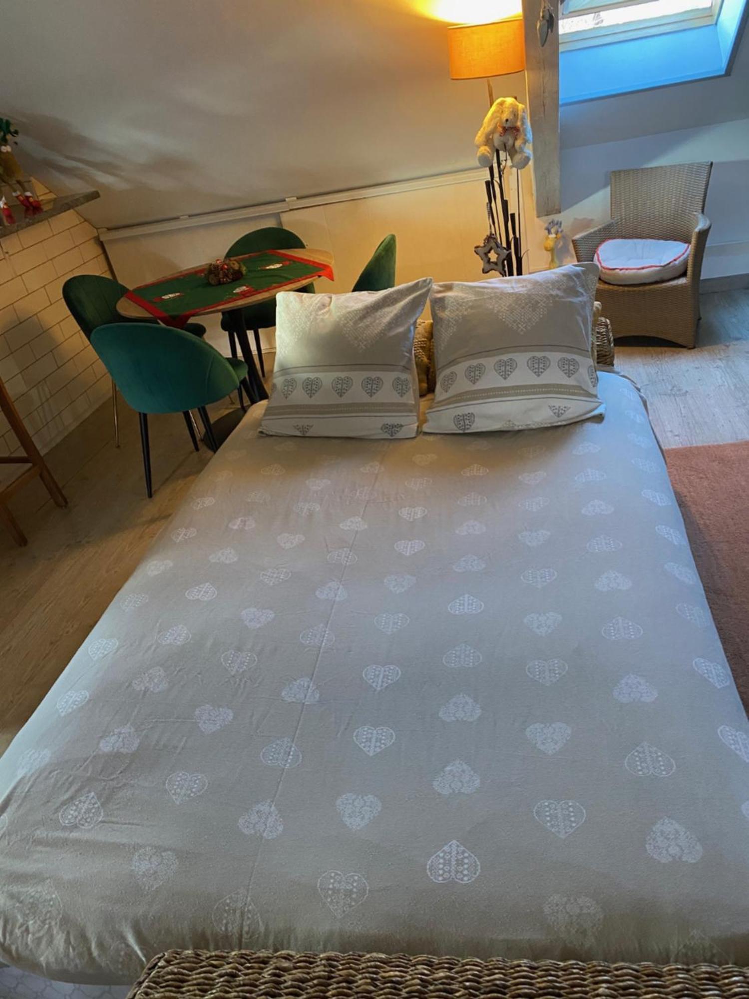 Duplex Spacieux Tout Confort 뮐루즈 외부 사진